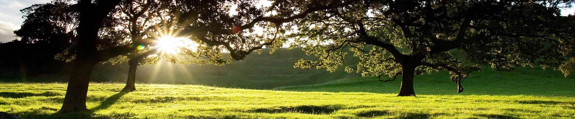 Farmer Platform - English page